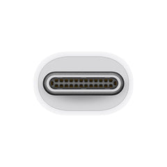 A Photo Of Apple Thunderbolt 3 Male to Thunderbolt 2 Female Adapter