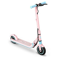 Segway Ninebot Kickscooters Zing E8 from Segway sold by 961Souq-Zalka