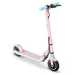 A Photo Of Segway Ninebot Kickscooters Zing E8