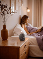 A Photo Of Green Lion DIWAN Bakhour Burner - GNDIWBAKHBK