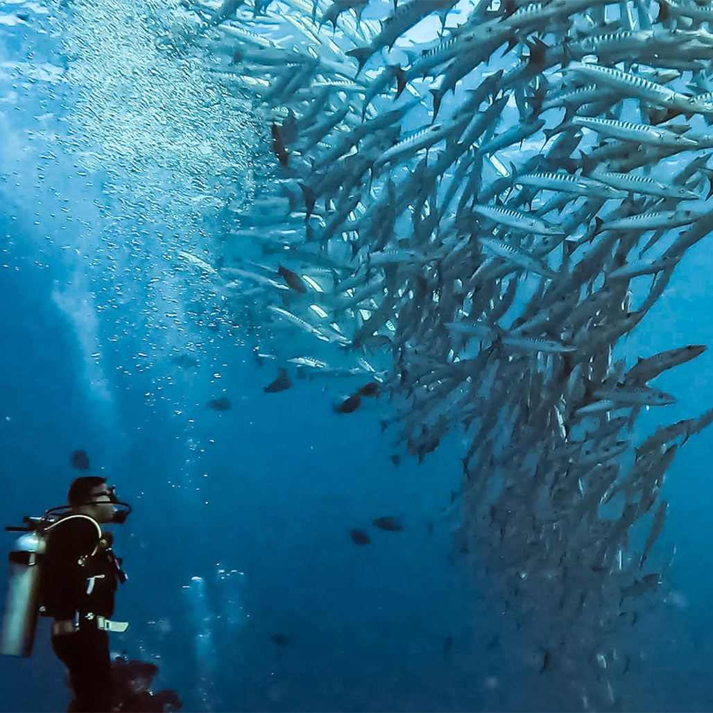 A Photo Of GoPro Protective Housing for HERO13 - HERO12-HERO11 - HERO10 - HERO9