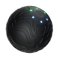 Green Lion Massage Ball - Black | Relaxation & Pain Relief Tool for Athletes & Office Workers