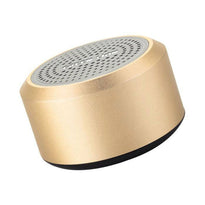 Green Lion Mini Muscle Speaker - Gold - GNMINIMSLSPGD