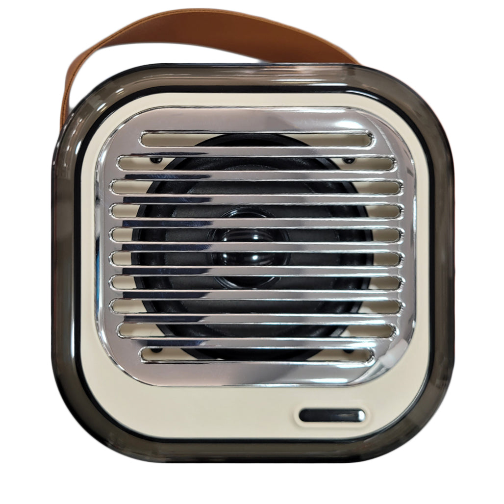 A Photo Of Green Lion Duet Echo Karaoke Speaker - Bluetooth 5.3, 10W Output | GNDUECH10WBG