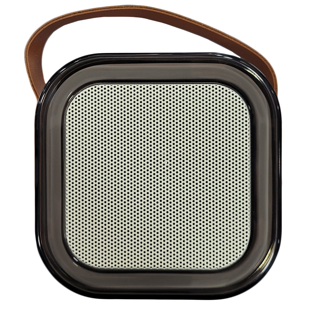 A Photo Of Green Lion Duet Echo Lite Karaoke Speaker - Bluetooth 5.3, 5W Output | GNDUECHL5WBG