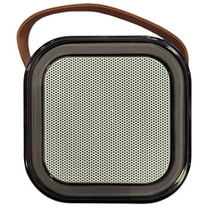 A Photo Of Green Lion Duet Echo Lite Karaoke Speaker - Bluetooth 5.3, 5W Output | GNDUECHL5WBG