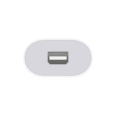 A Photo Of Apple Thunderbolt 3 Male to Thunderbolt 2 Female Adapter