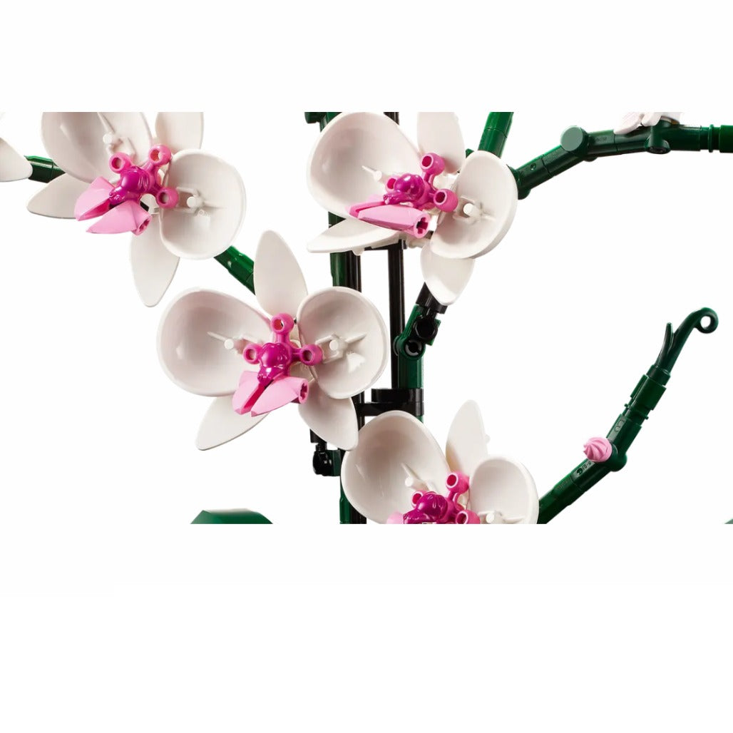 A Photo Of LEGO Orchid 608 Pieces - 10311