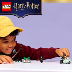 A Photo Of LEGO Hagrid™ & Harry's Privet Drive Escape - 124 Pieces - 76459