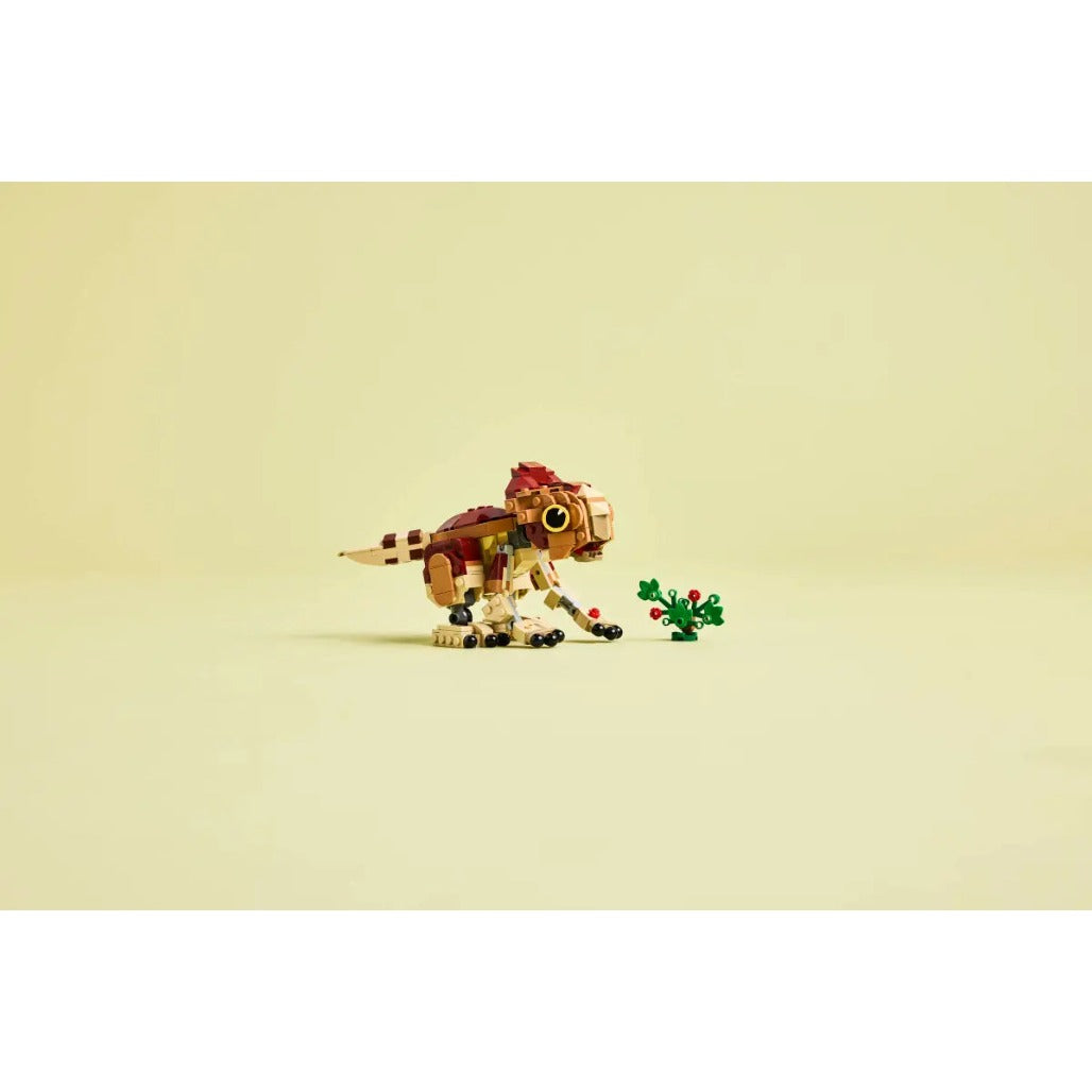 A Photo Of LEGO Jurassic World Baby Dinosaur Dolores: Aquilops 339 Pieces - 76970