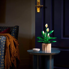 A Photo Of LEGO Peace Lily - 474 Pieces - 11504