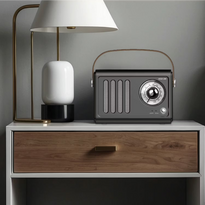 SYNC|A_MEDIA|gid://shopify/MediaImage/46150330319100