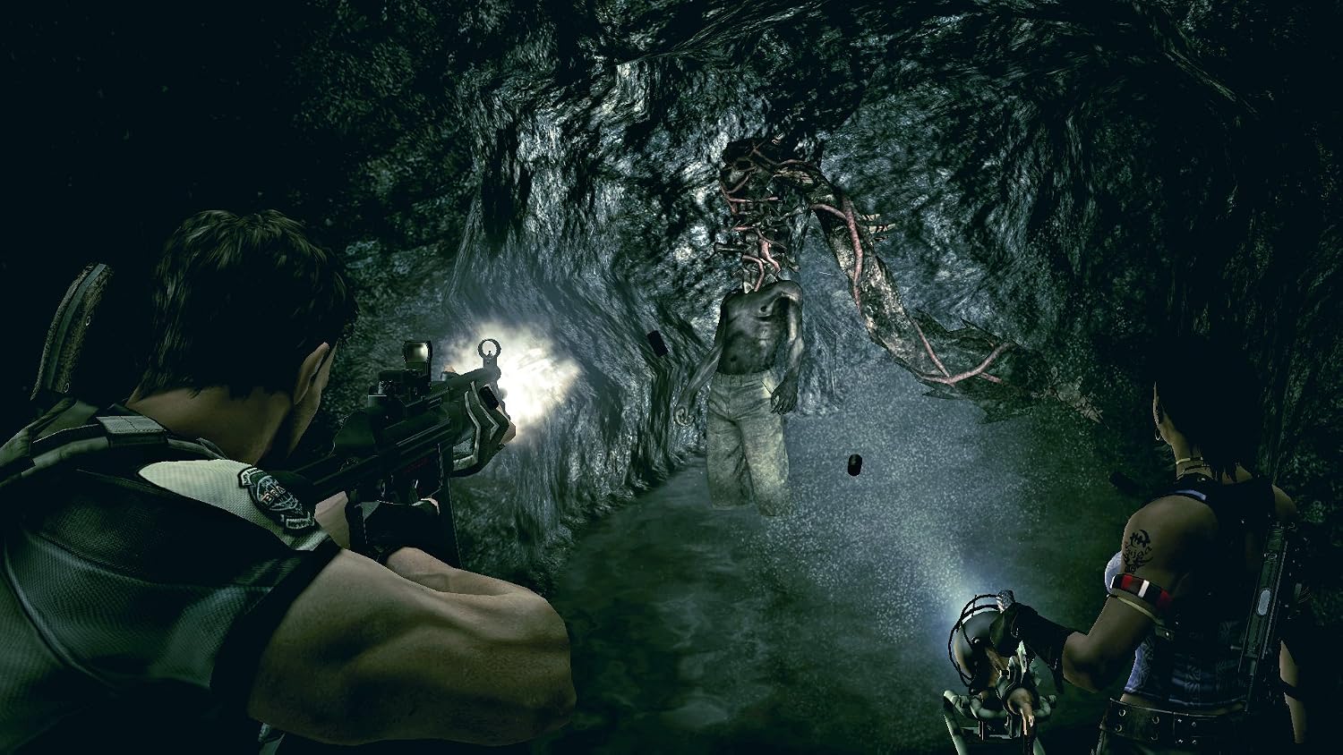 A Photo Of Resident Evil 5 for PS4