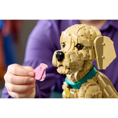 A Photo Of LEGO Icons Golden Retriever Puppy 2102 Pieces - 11384