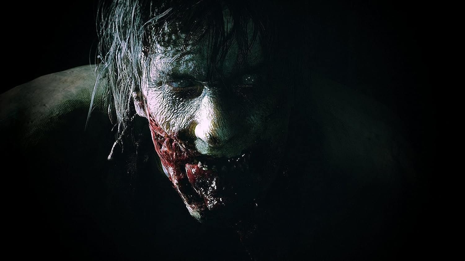 A Photo Of Resident Evil 2 for PS4