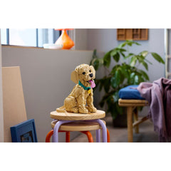 A Photo Of LEGO Icons Golden Retriever Puppy 2102 Pieces - 11384