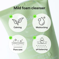 Abib Mild Foam Cleanser Heartleaf Foam - 150ml