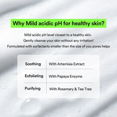 A Photo Of Abib Mild Foam Cleanser Heartleaf Foam - 150ml