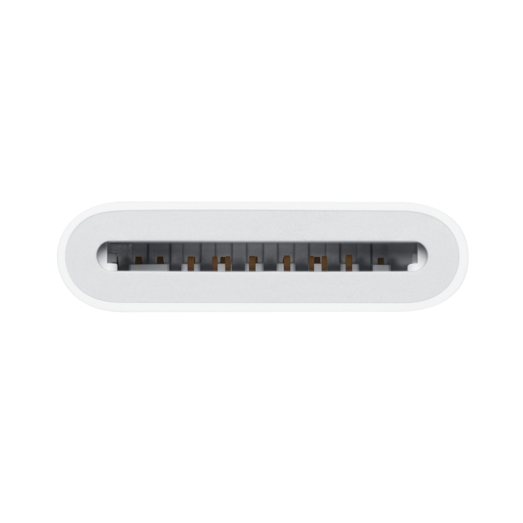 A Photo Of Apple USB-C to SD Card Reader