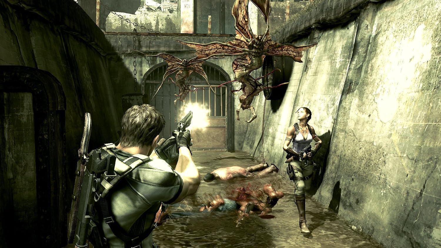 A Photo Of Resident Evil 5 for PS4
