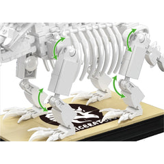 A Photo Of Mould King Triceratops Dinosaur Fossil Building Toy Set - 397 Pieces - 29006